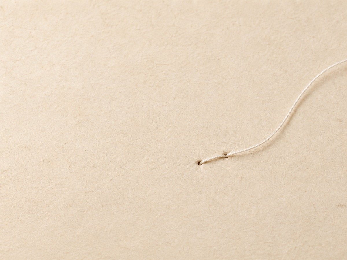 Fine thread and small unfinished work on parchment — do the great while it is small